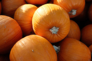 Κολοκύθα, κολοκύθα Χοκάιντο ή butternut: Μπορούμε να φάμε τη φλούδα των κολοκυθιών του φθινοπώρου;