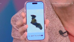 Δημήτρης Ουγγαρέζος: Έζησε το...νυχτερίδες κι αράχνες έχουν κάνει φωλιά, live