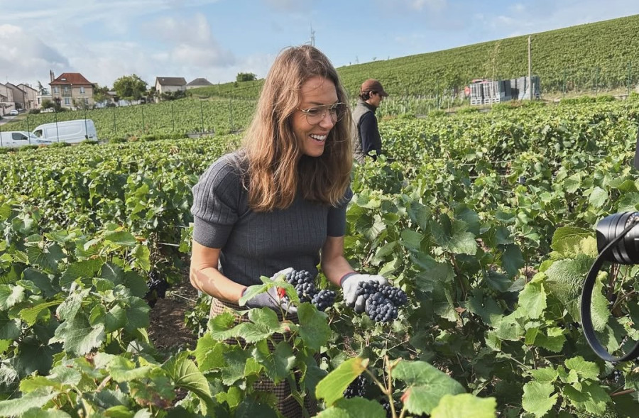 Βίκυ Καγιά: Μπήκε στον αμπελώνα της Moët &amp; Chandon και τρύγησε σταφύλια!