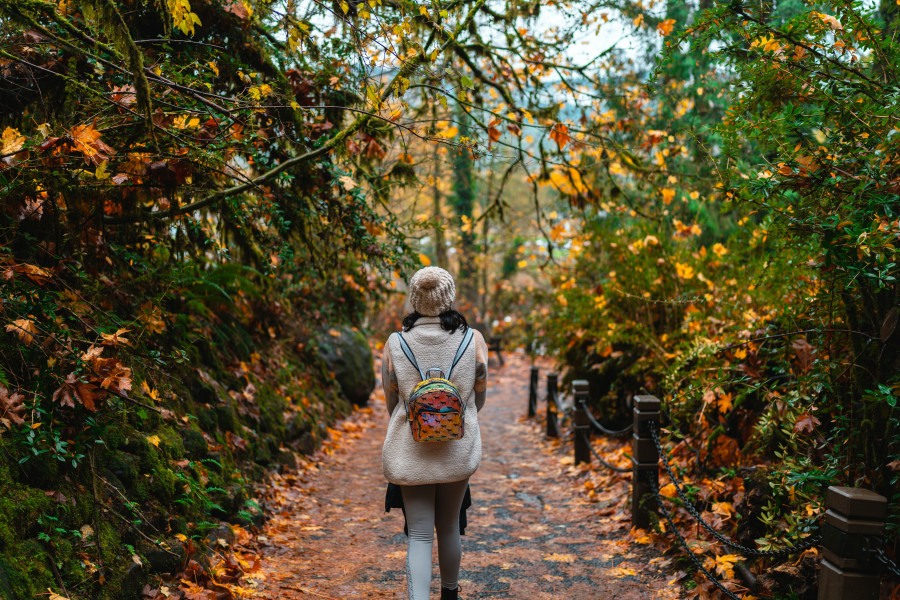 Nature therapy: Η φύση μειώνει το στρες και είναι αποδεδειγμένο