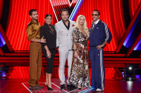 The Voice: Επέστρεψε στο τηλεοπτικό πρόγραμμα και στην κορυφή της τηλεθέασης - Αναλυτικά τα νούμερα