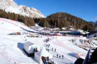 Ο σκύλος που έγινε… Ολυμπιονίκης: Όταν ένα τυχαίο βίντεο έκλεψε τη δόξα των Αγώνων