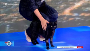 Τηλεοπτικός αστέρας πλέον ο Μπάρακ! Έκανε έναρξη με Καρούση - Παυλόπουλο και «έκλεψε» πάλι την παράσταση