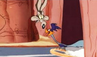 Kι όμως... το κογιότ και το Road Runner των Looney Tunes υπάρχουν και κυνηγιούνται και στην πραγματικότητα. Beep beep!