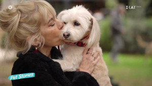 Μυρτώ Αλικάκη: Ο έρωτας με τη σκυλίτσα της Άλις και η συγκινητική ιστορία διάσωσης