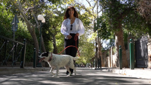 Pet Stories: Η Βασιλική Ρούσσου μάς συστήνει την Τίτη