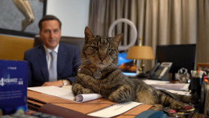 Pet Stories: Στην παρέα μας ο γνωστός ποινικολόγος Μιχάλης Δημητρακόπουλος και ο αγαπημένος του Φίγκαρο