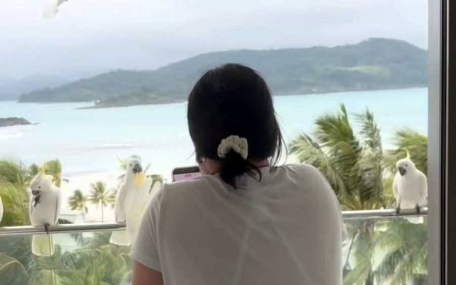 Epic! Τάϊσαν έναν παπαγάλο στο μπαλκόνι του resort τους και έφερε όλη του την οικογένεια!