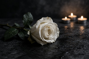 Διπλή απώλεια: Πέθαναν ο ιδιοκτήτης του OnlyFans και ηθοποιός της σειράς «Supernatural»