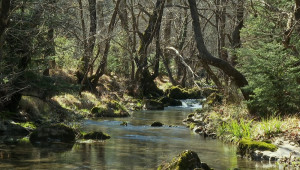 Όπου υπάρχει Ελλάδα: Η εβδομάδα κλείνει στην Τρίπολη! Πού θα βρεθεί η εκπομπή τη Μ. Εβδομάδα;