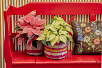 Πώς να δημιουργήσετε ένα μαγικό, γιορτινό σκηνικό στο μπαλκόνι σας με αλεξανδρινά