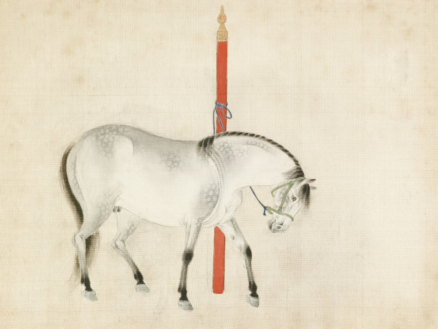 Κινέζικη αστρολογία: Από το έτος του φιδιού στο έτος του αλόγου - Τι σημαίνει αυτό για το 2026 και τι να περιμένεις