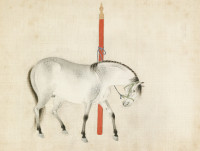 Κινέζικη αστρολογία: Από το έτος του φιδιού στο έτος του αλόγου - Τι σημαίνει αυτό για το 2026 και τι να περιμένεις