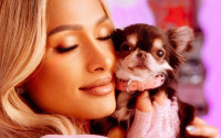 Το σκυλόσπιτο στον κήπο της Paris Hilton μάλλον είναι πιο πολυτελές από το σπίτι μας