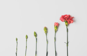 Τρία ζώδια μπαίνουν σε νέα εποχή από σήμερα και είναι για καλό