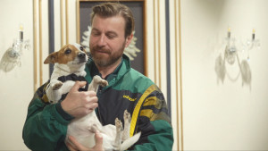 Pet Stories: Ο Σόλων Τσούνης έρχεται και μαζί πάντα ο Φλιπ