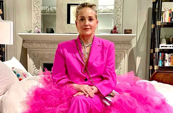 Sharon Stone: «Από το Βασικό Ένστικτο έχασα την επιμέλεια του παιδιού μου. Μου ράγισε την καρδιά»