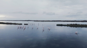 Όπου υπάρχει Ελλάδα: Νέος προορισμός το Μεσολόγγι