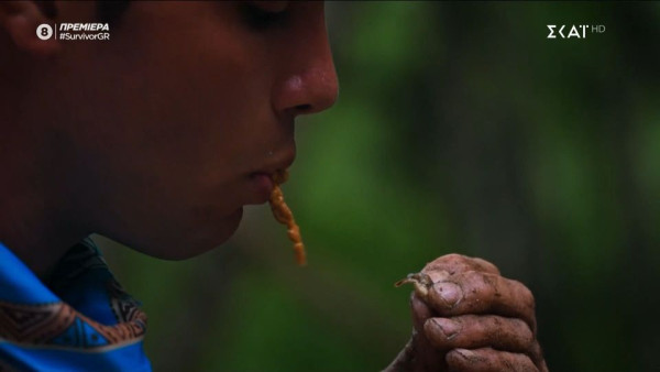 Survivor: Η πείνα έκανε την εμφάνισή της και ο Γιώργος Πολύχρος έφαγε πλάσμα με κέλυφος που βρήκε στο έδαφος
