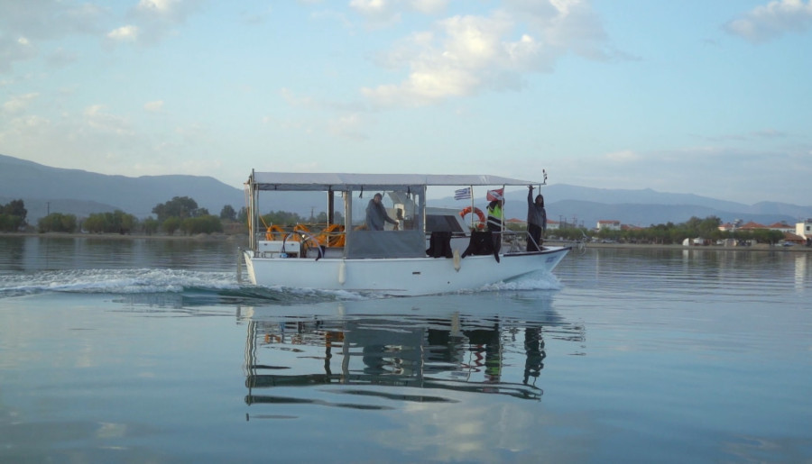 Όπου υπάρχει Ελλάδα: Η Καλλονή δεν βγάζει μόνο σαρδέλες! Γνωρίζεις τι είναι τα χάβαρα (που τα εξάγουμε);