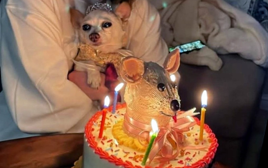 Μια quinceanera... με ουρά! Η Daisy γιόρτασε τα 15 της σαν πραγματική σταρ