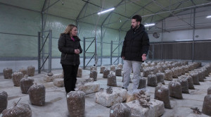 Όπου υπάρχει Ελλάδα - Γρεβενά: Και όμως, τα μανιτάρια γίνονται και γλυκό του κουταλιού!