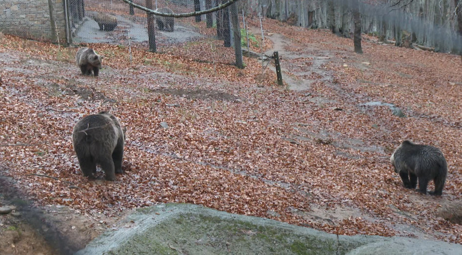 Όπου υπάρχει Ελλάδα: Η εκπομπή εξερευνά τη χειμερινή Φλώρινα