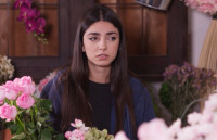 Η γη της ελιάς: Η Βασιλική ακυρώνει τον γάμο ενώ ο Παυλής μαθαίνει την αλήθεια για το μωρό