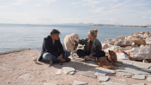 Pet Stories: Στη παρέα της εκπομπής ο Δημήτρης Ουγγαρέζος και ο Κούπερ