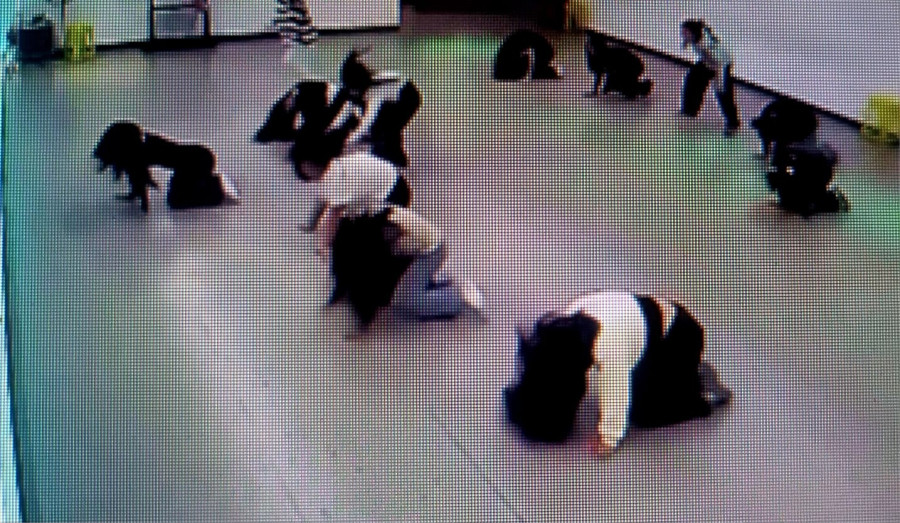 Δασκάλα χορού σωριάζεται λόγω υπογλυκαιμίας και οι μαθήτριες ακολουθούν νομίζοντας πως είναι χορευτικό!